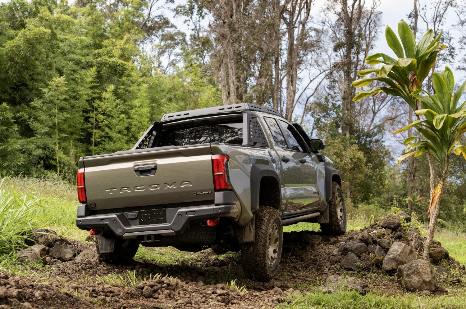 All New 2024 Toyota Tacoma Truck - Falmouth Toyota of Bourne, MA - Serving Cape Cod, Hyannis, Plymouth MA