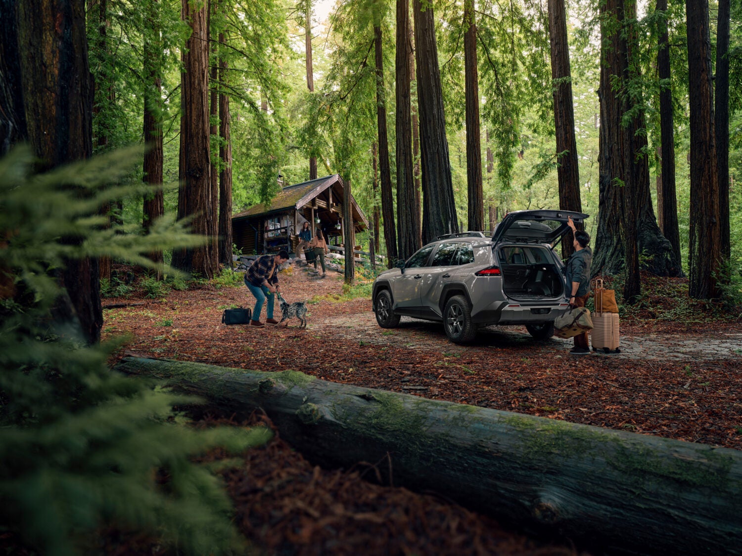 All New 2026 Toyota RAV4 Performance SUV - Falmouth Toyota of Bourne, MA - Serving Cape Cod, Hyannis, Plymouth MA