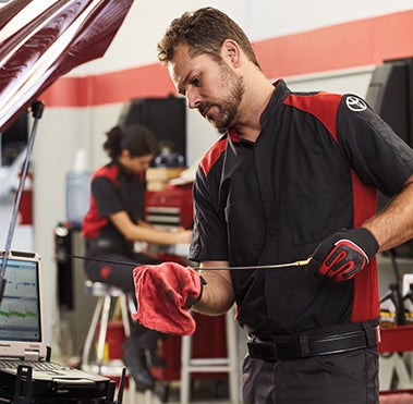 Service Center | Falmouth Toyota in Bourne MA